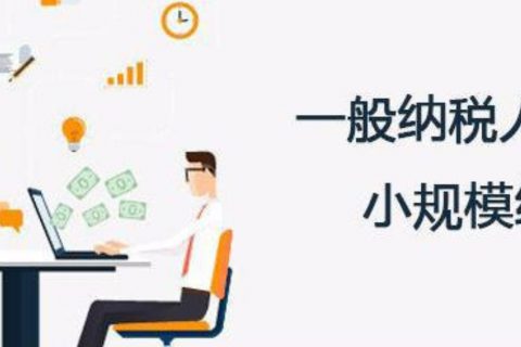 拉薩的一般納稅人和小規(guī)模納稅人納稅方式以及認(rèn)定資格是什么？同內(nèi)地企業(yè)有區(qū)別嗎？