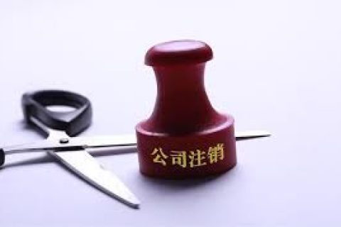 拉薩注銷一個(gè)公司，需要去幾個(gè)部門？整體時(shí)間需要多久？大概流程是怎樣的？