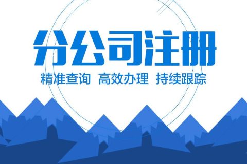 在拉薩設立分公司的流程、所需材料、辦理時間