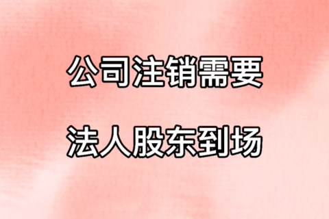 拉薩公司注銷，需要法人、股東到場嗎？