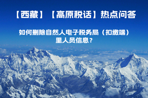 如何刪除西藏自然人電子稅務(wù)局（扣繳端）里人員信息？