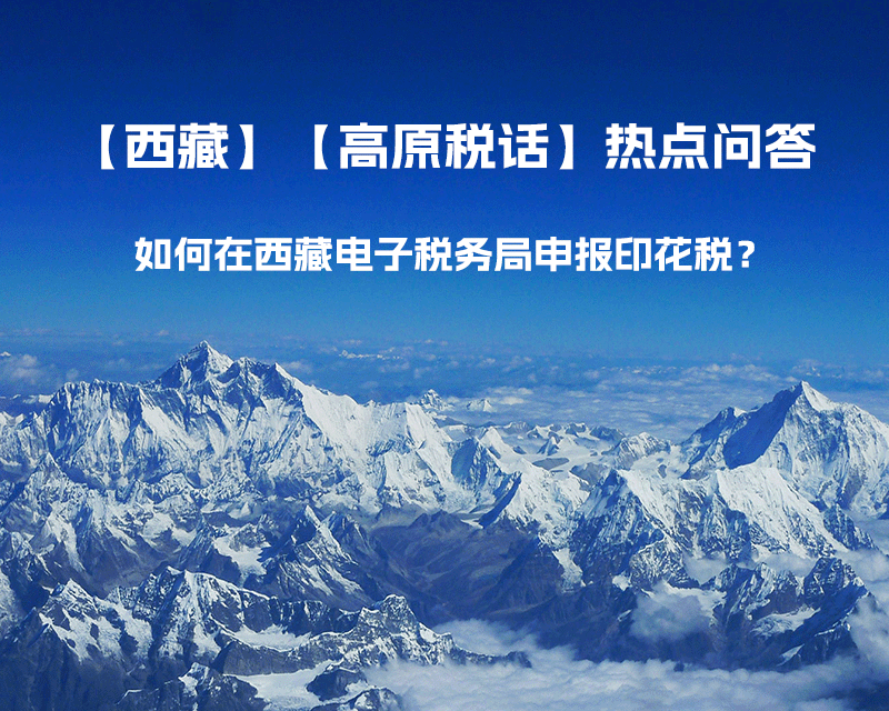 如何在西藏自治區(qū)電子稅務(wù)局申報印花稅？