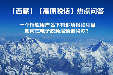 一個(gè)報(bào)驗(yàn)用戶名下有多項(xiàng)報(bào)驗(yàn)項(xiàng)目，如何在電子稅務(wù)局預(yù)繳稅款？