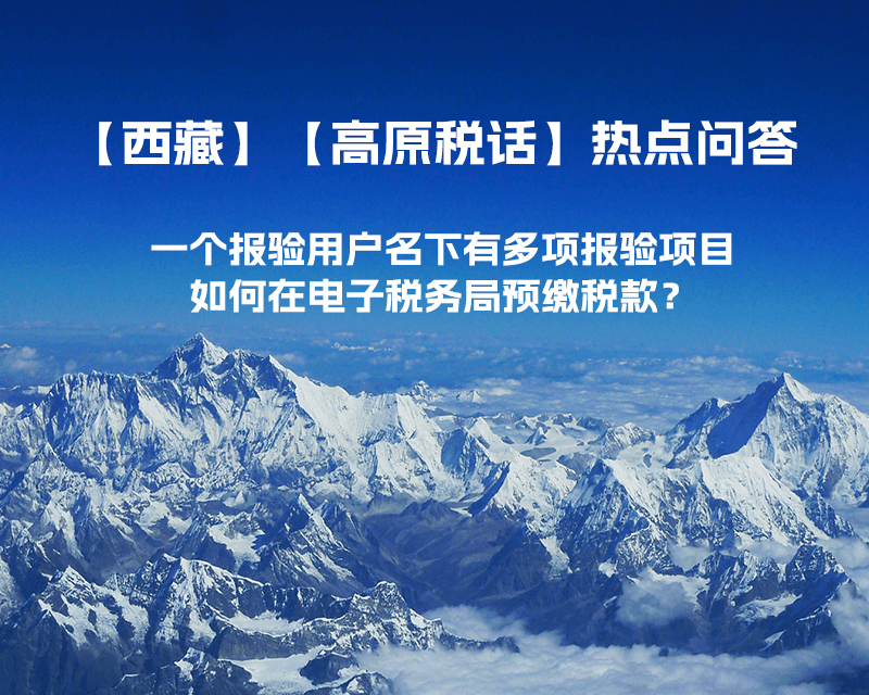 一個(gè)報(bào)驗(yàn)用戶名下有多項(xiàng)報(bào)驗(yàn)項(xiàng)目，如何在電子稅務(wù)局預(yù)繳稅款？