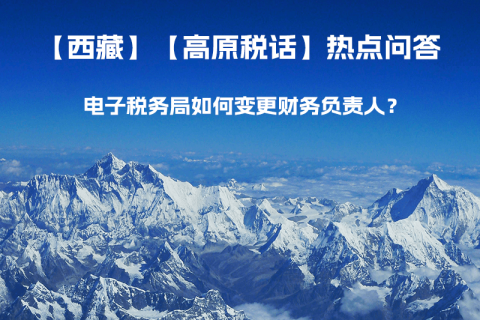 電子稅務(wù)局如何變更財(cái)務(wù)負(fù)責(zé)人？