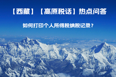 如何打印個(gè)人所得稅納稅記錄？