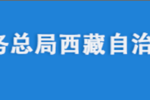 電腦更換后，自然人電子稅務(wù)局扣繳端申報(bào)收入額如何進(jìn)行累計(jì)？