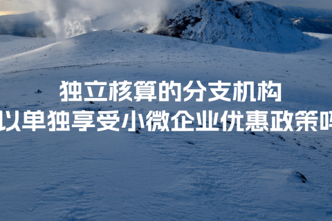 獨立核算的分支機構(gòu)可以單獨享受小微企業(yè)優(yōu)惠政策嗎？