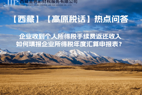 企業(yè)收到個(gè)人所得稅手續(xù)費(fèi)返還收入，如何填報(bào)企業(yè)所得稅年度匯算申報(bào)表？