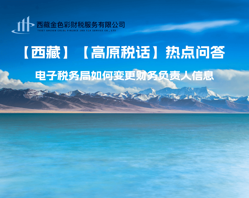 西藏電子稅務(wù)局如何變更財(cái)務(wù)負(fù)責(zé)人信息？