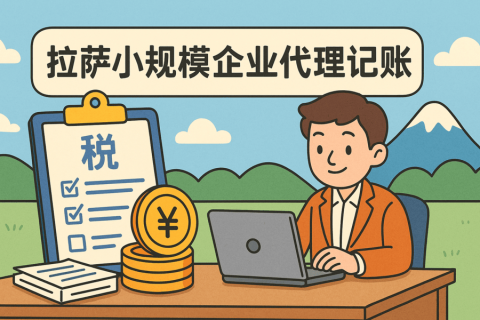 拉薩小規(guī)模企業(yè)適合代理記賬嗎？成本與效率對比